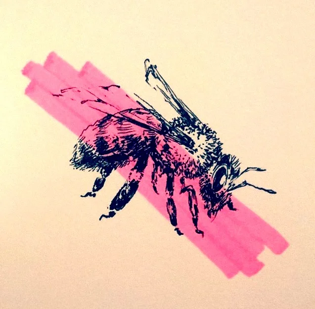 beezus.jpg