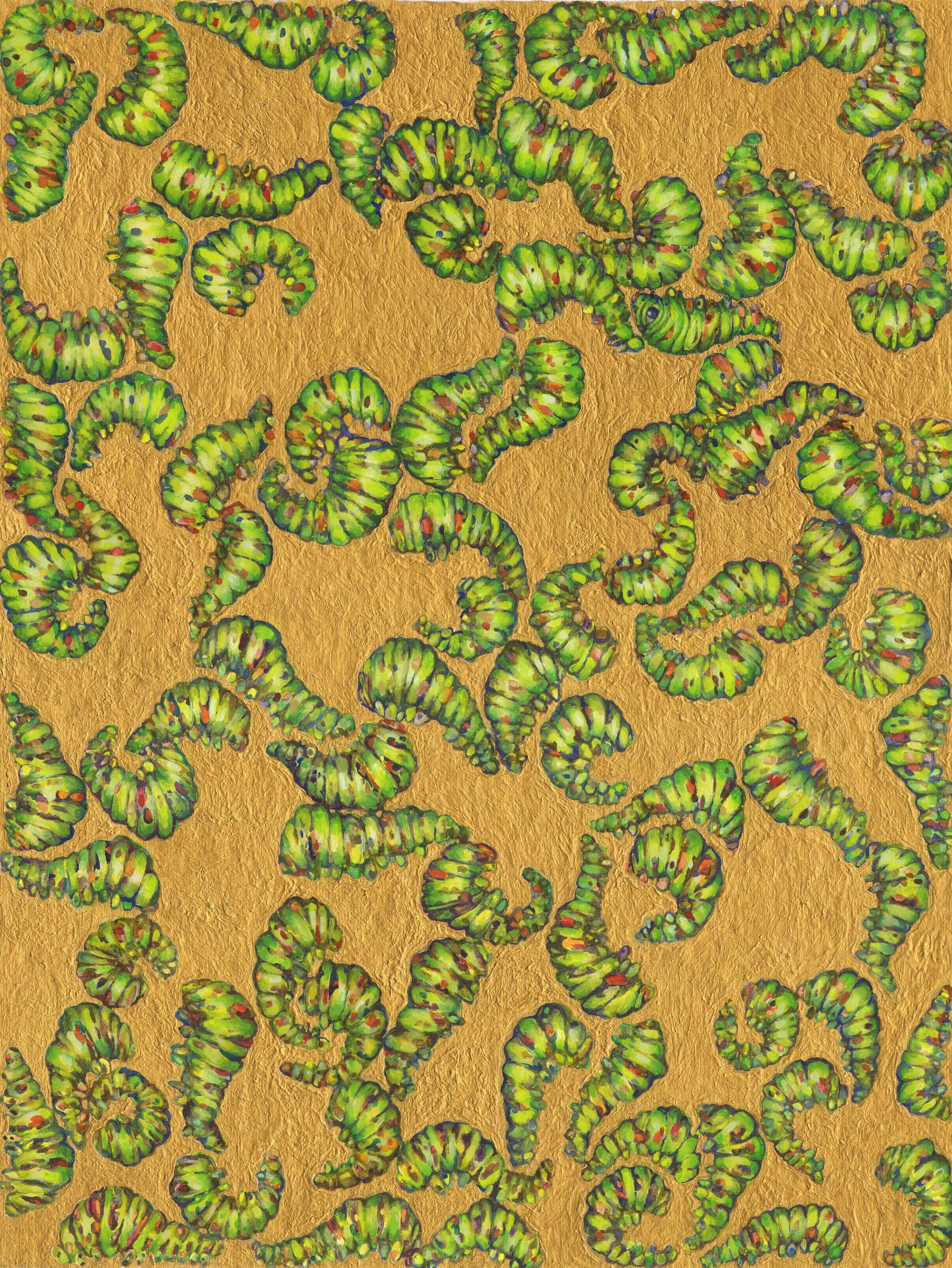 caterpillar_stitch - Copy - Copya.png