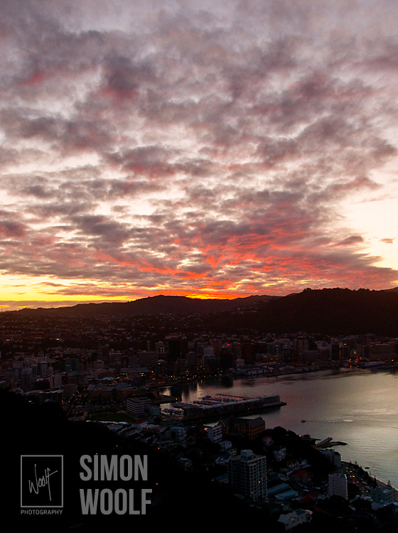 #3148, Sunset Over Wellington