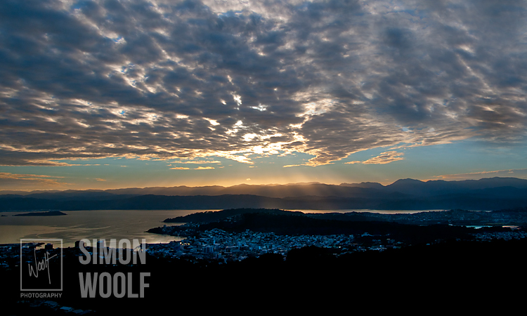 #3198, Wellington Dawn Big Sky 2