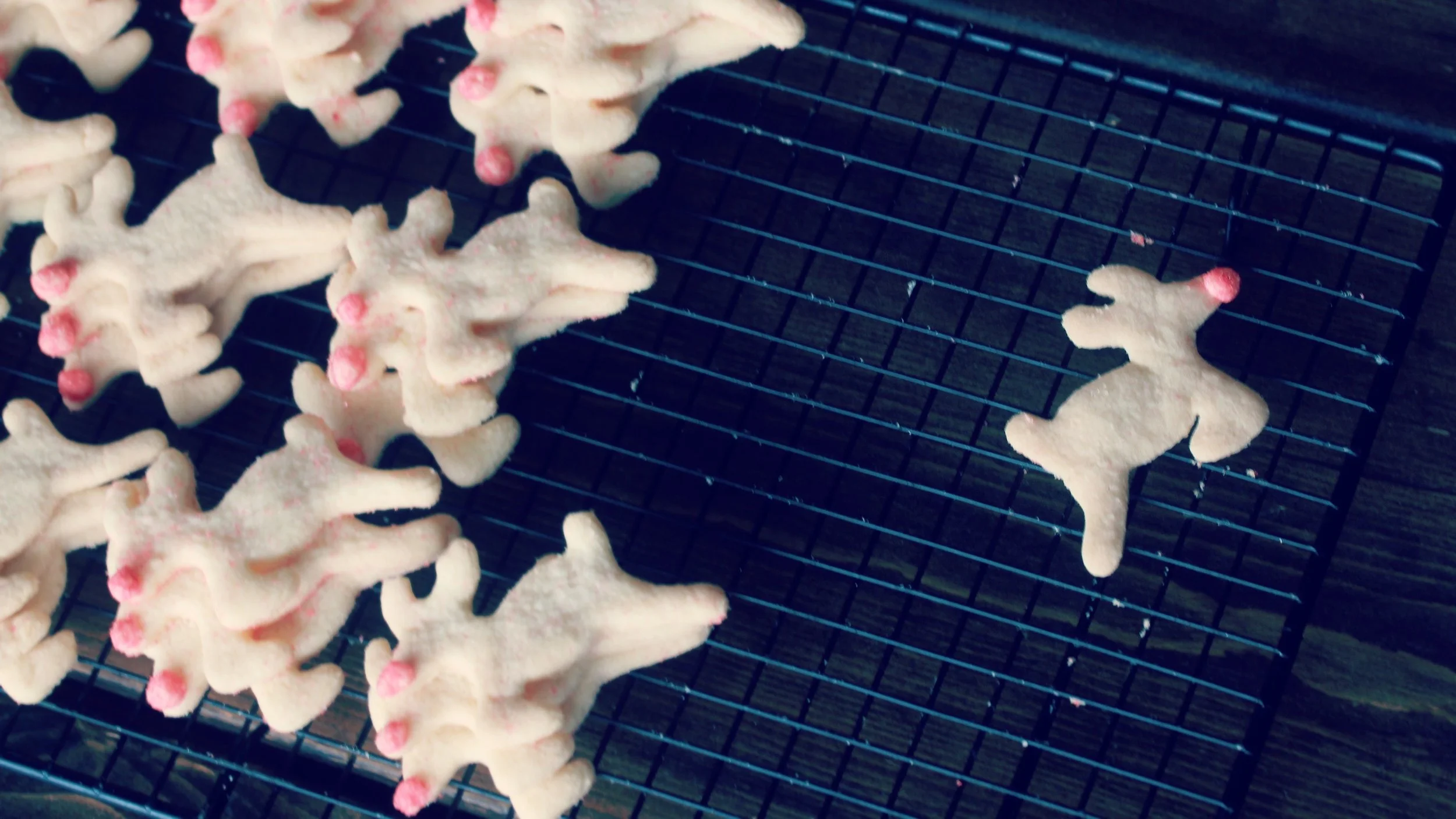 Gluten Free Sugar Cookies