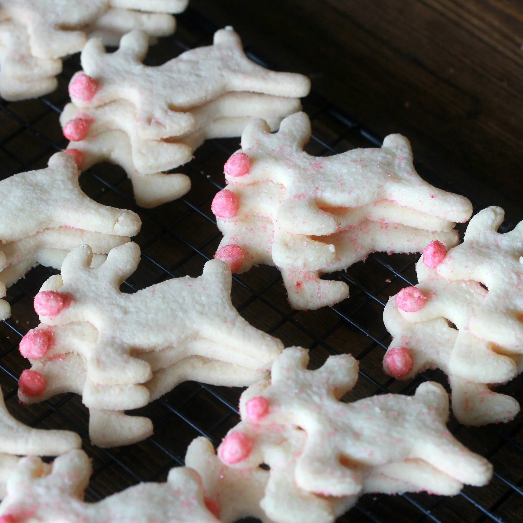 Gluten-Free Sugar Cookie