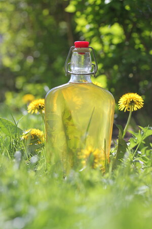 dandelion syrup