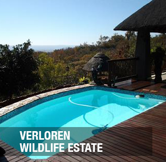 <p>One of the most favoured Residential Wildlife Estates in Southern Africa- only 6% of the estate will be developed.<a href=/sondela-1-1-1-1-1>More →</a></p>