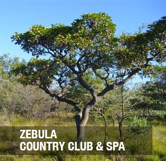 Zebula Country Club & Spa