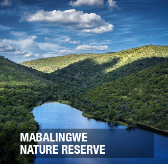   Mabalingwe Nature Reserve consists of 12 500 ha bushveld which ranges from sweet veld in the southern, eastern and western parts and sour veld to the northern parts of the Reserve. The Reserve hosts game such as Elephants, Rhino, Buffalo, Leopard, 