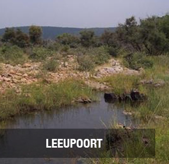 <p><strong>LEEUPOORT</strong>1 169 hectare farm. <br>PRICE -  R24 500 000PRICE <a href=/new-page>More →</a></p>