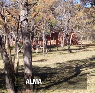 <p><strong>ALMA</strong>186 hectare Farm in Loubad District. <br>PRICE - R5.1M <a href=/alma-farm>More →</a></p>