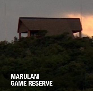 <p><strong>Marulani</strong> - Fractional ownership<a href=/marulani>More →</a></p>