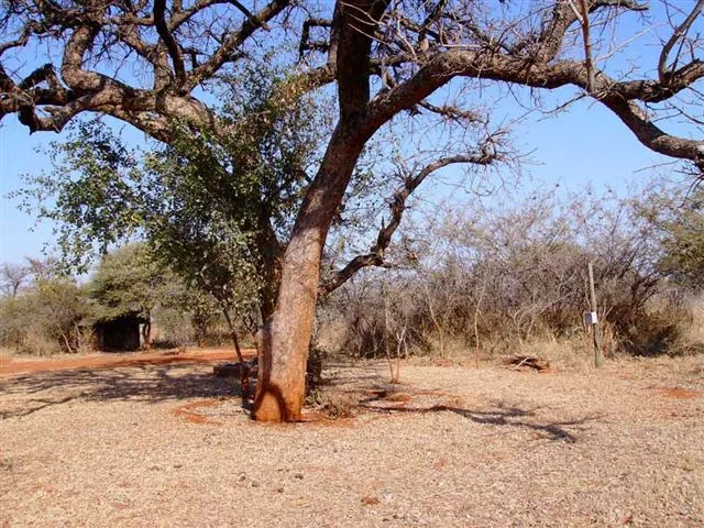 Ref: PT0013 | Your own piece of bushveld! This 5 ha bushveld property is situated only 11 km west of Bela Bela, is undeveloped except for a smallthatched bathroom facility. Borehole water is available. PRICE: R500 000