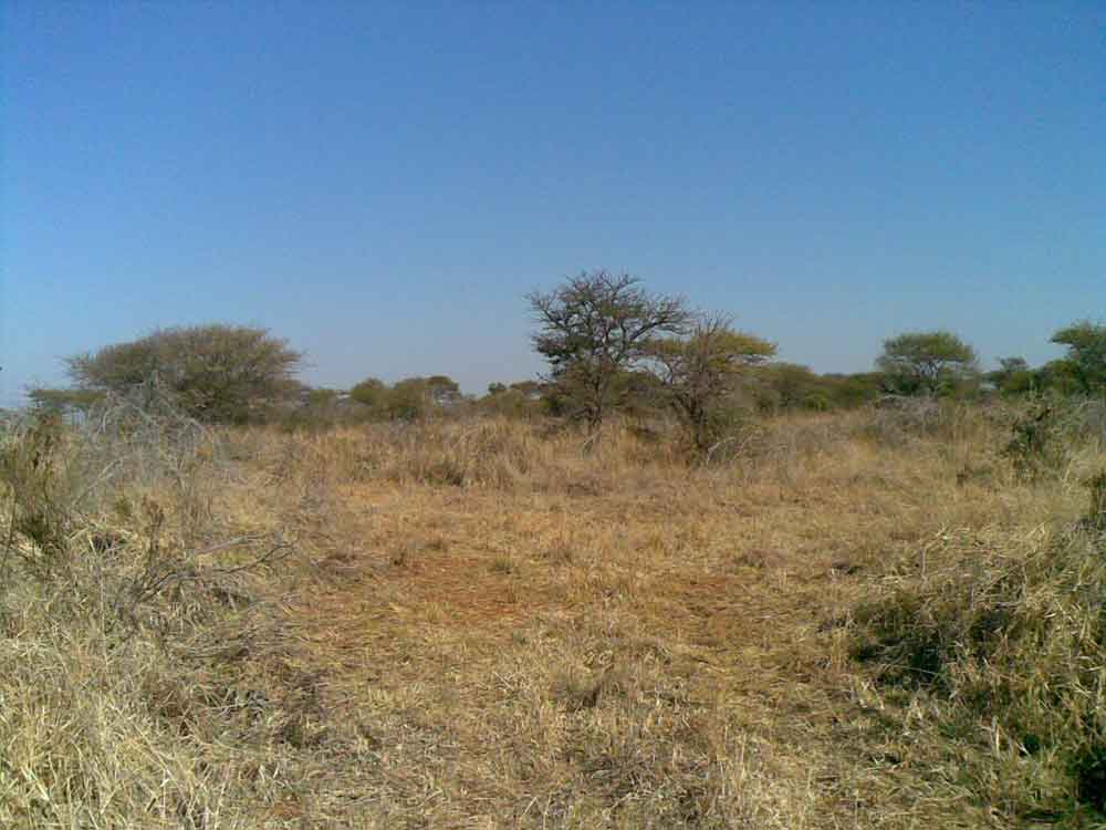 Ref: PT0014 | Beautiful bushveld property! Undeveloped 5 ha small holding. 11 Km from Bela Bela, partially fenced, no electricity. Yours to develop as you wish! PRICE: R550 000