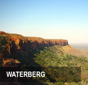 <p><strong>WATERBERG</strong>286 hectare Farm near Marnitz. <br>PRICE - R4.95M <a href=/reserve>More →</a></p>