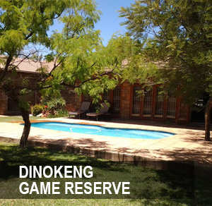  <p>The Dinokeng Game Reserve is the first free-roaming Big 5 residential game reserve in Gauteng <a href=/denokeng>More →</a></p>