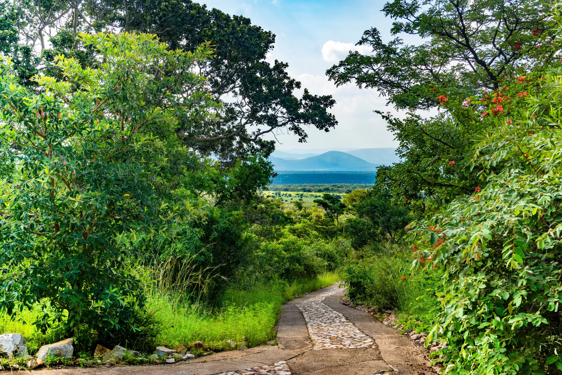 Mabula Private Game Reserve Lodge