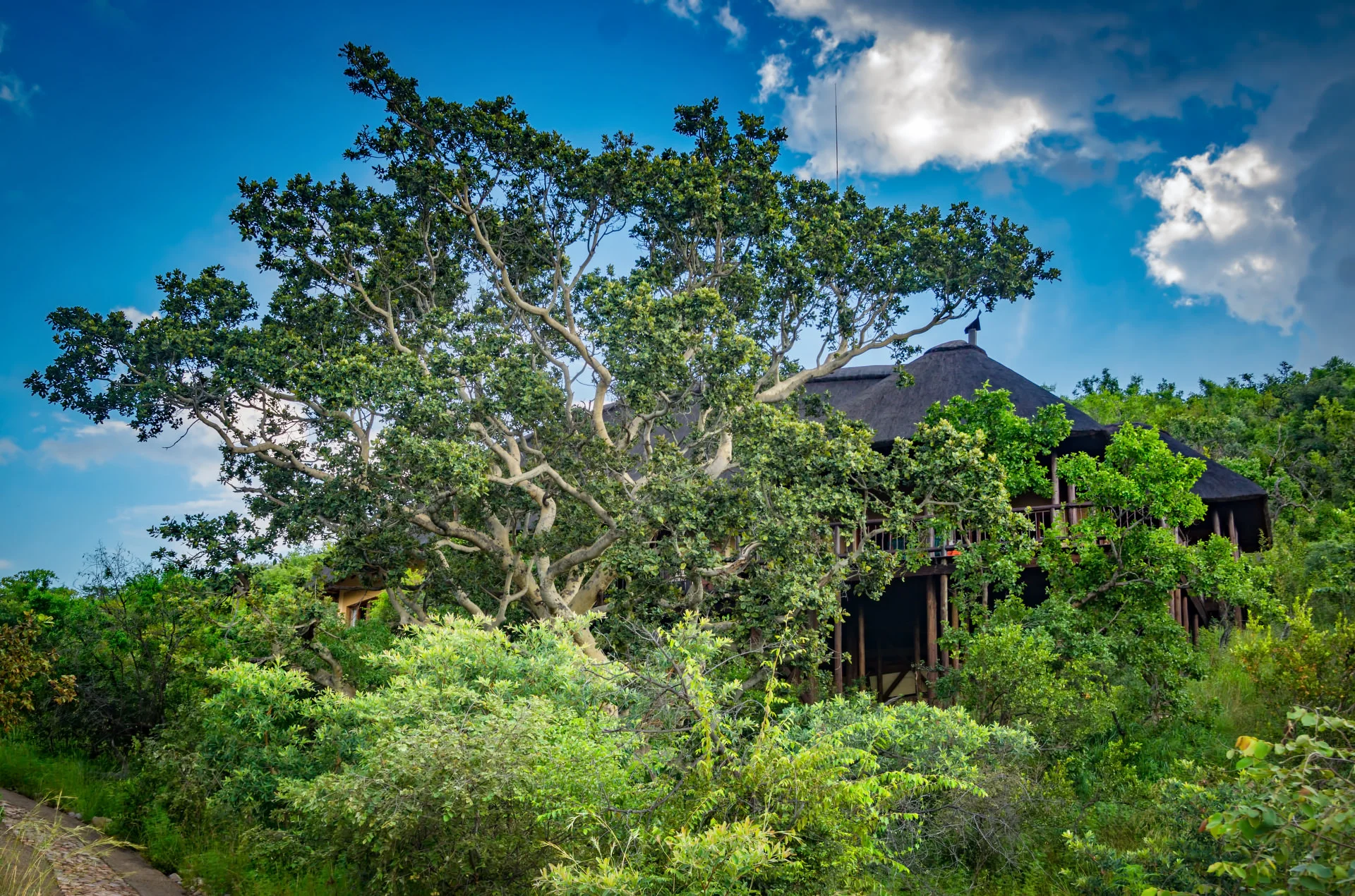 Mabula Private Game Reserve