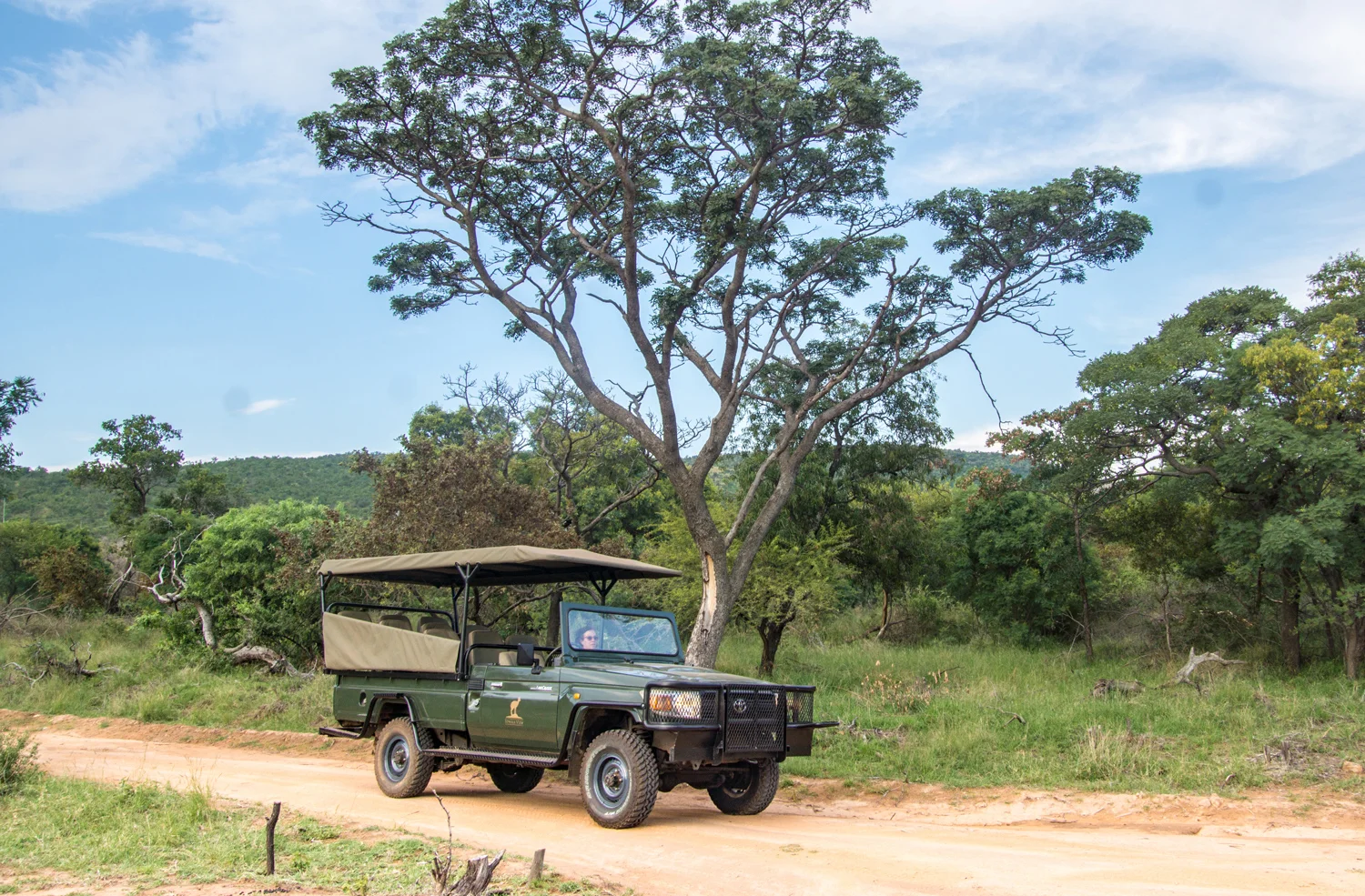 LandCruiser-3.jpg