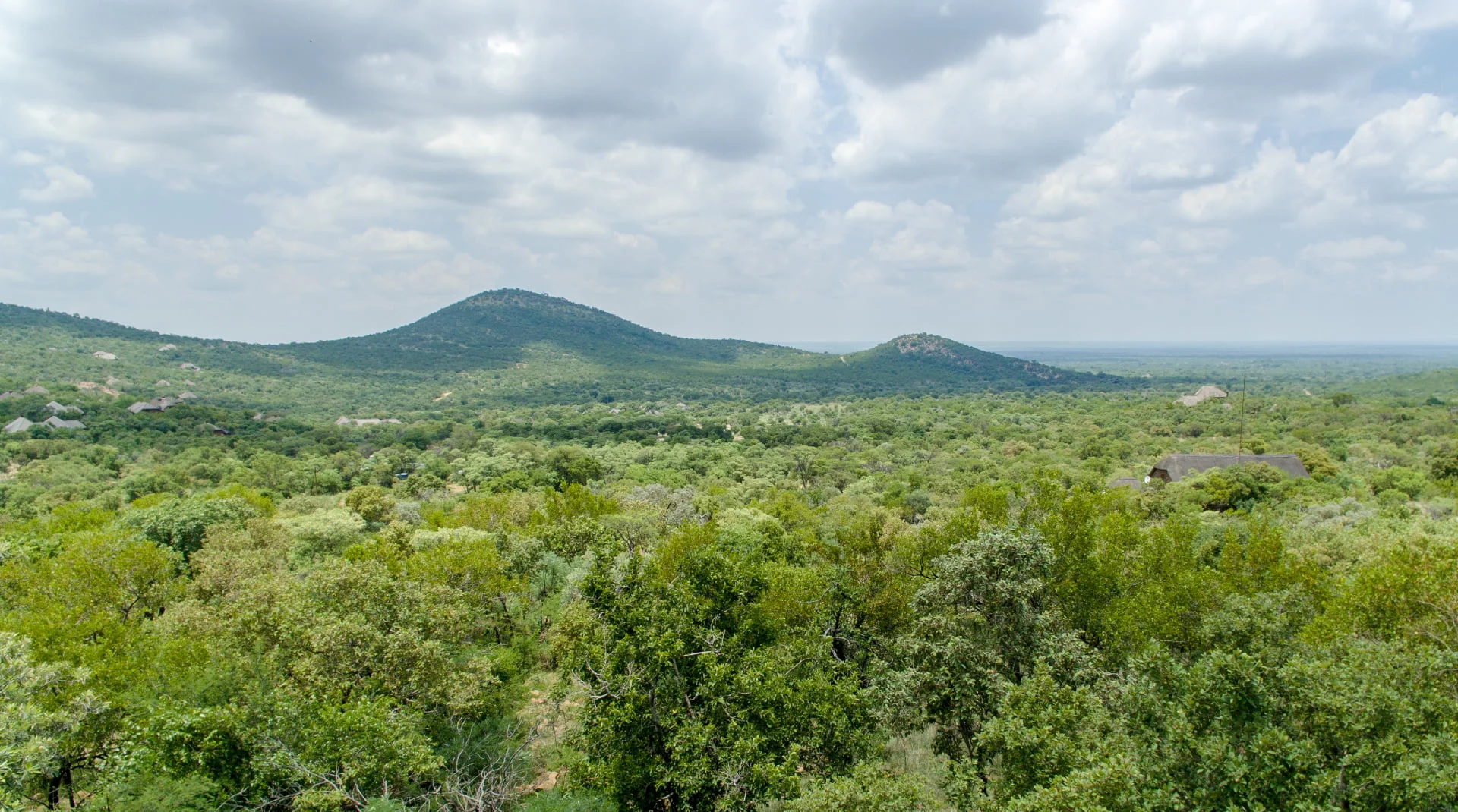 DJI_0092.jpg
