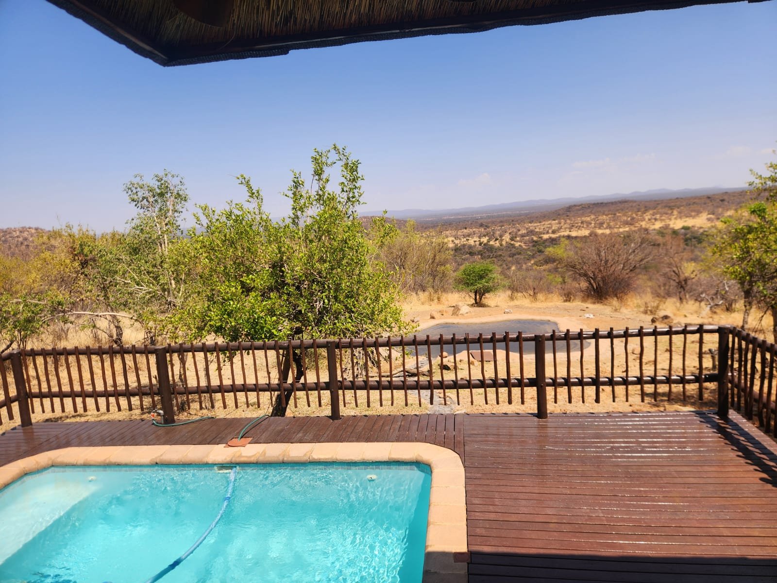 WhatsApp Image 2024-11-20 at 13.43.38 (2).jpeg