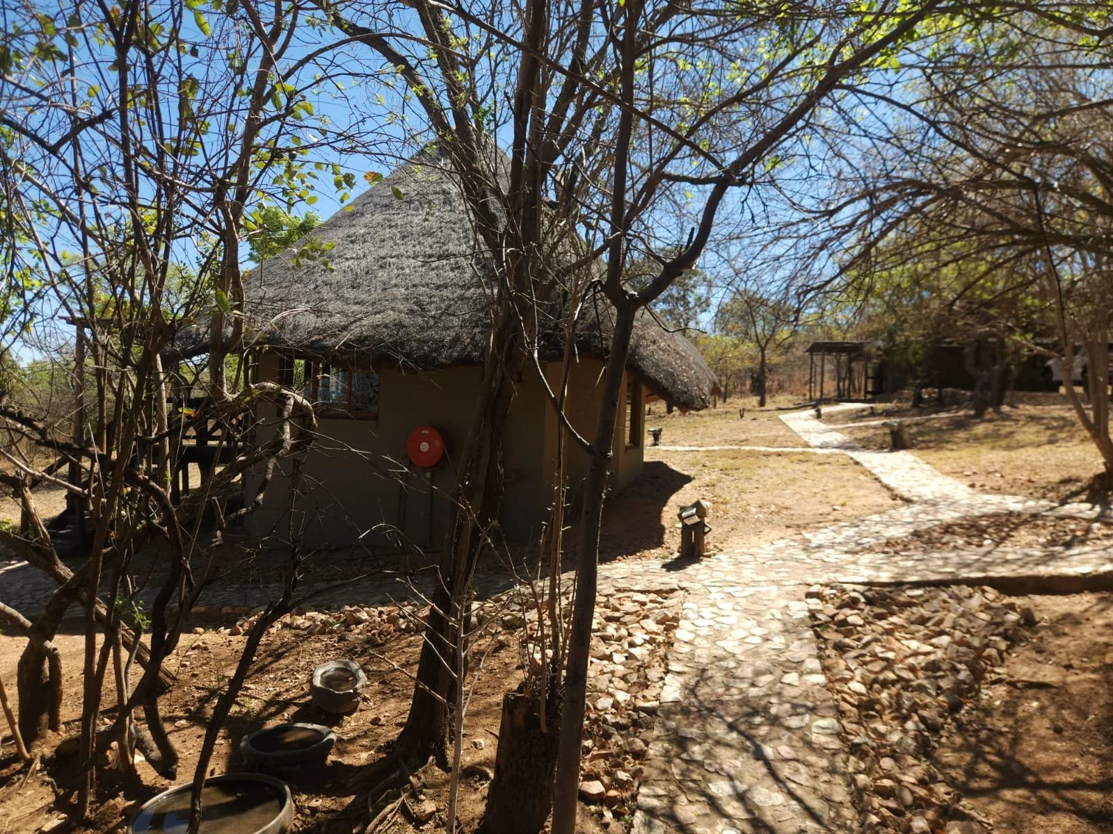 WhatsApp Image 2025-10-02 at 10.17.58.jpeg