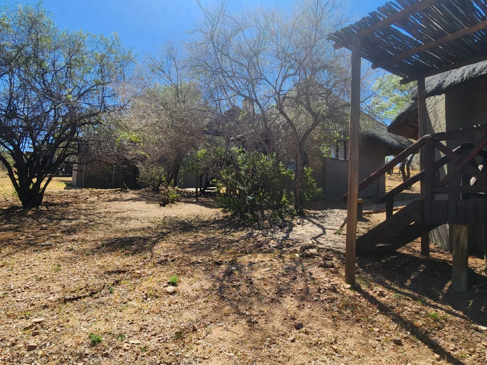 WhatsApp Image 2025-10-02 at 10.17.51.jpeg