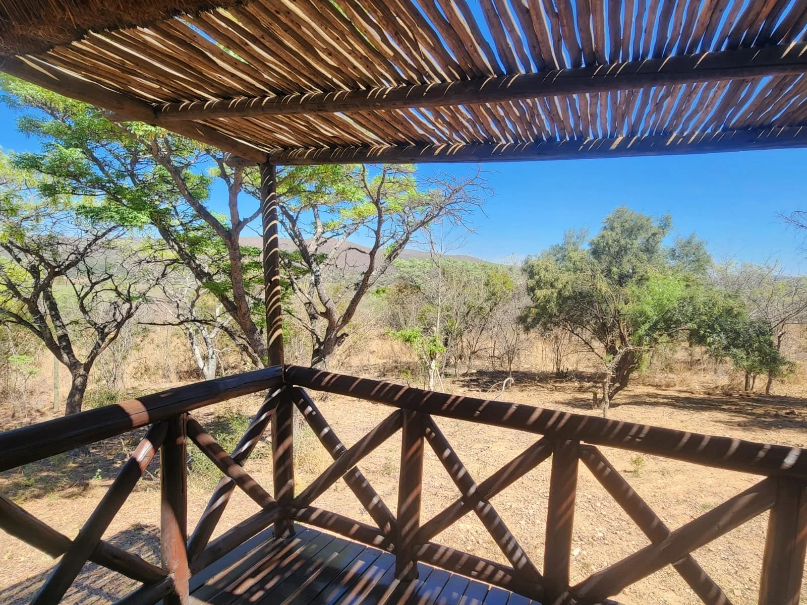 WhatsApp Image 2025-10-02 at 10.17.49.jpeg