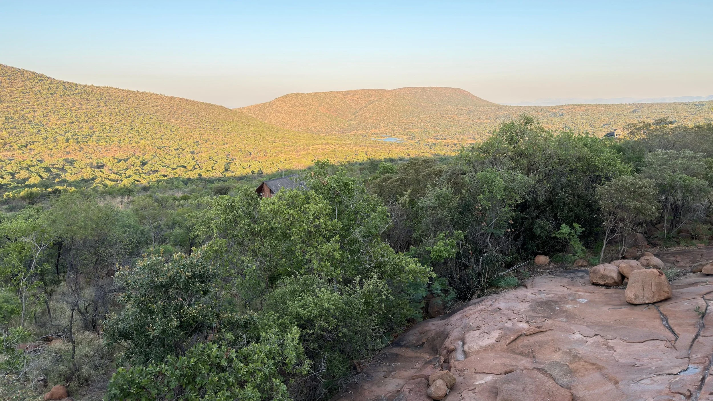 WhatsApp Image 2025-10-30 at 14.08.25.jpeg