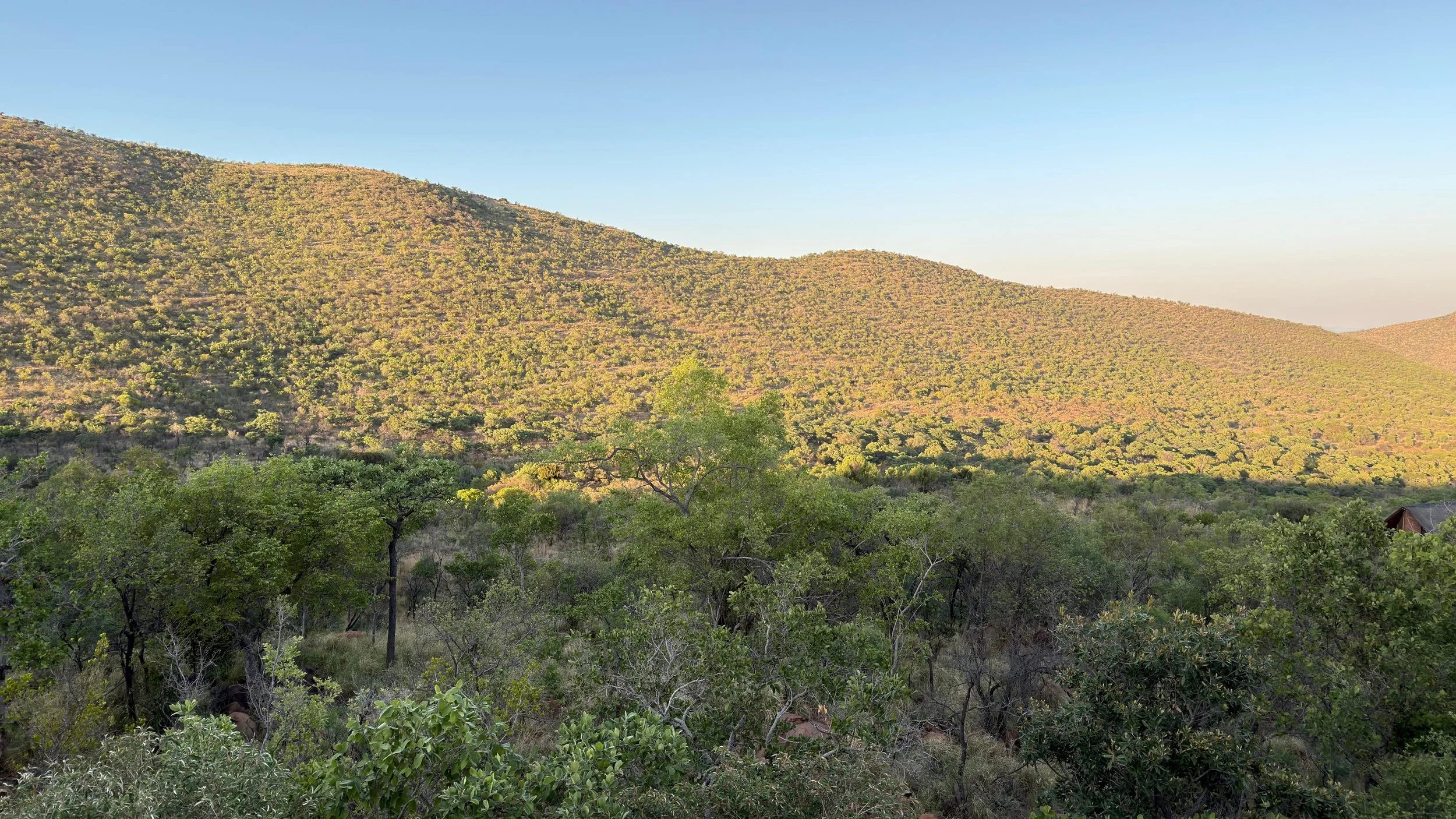 WhatsApp Image 2025-10-30 at 14.08.24 (1).jpeg