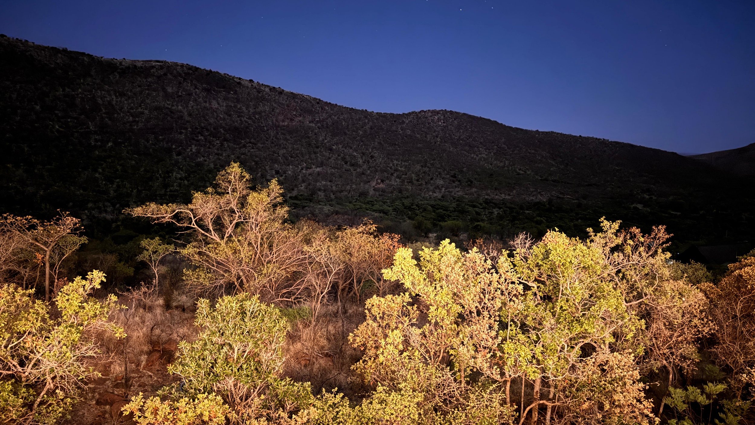 WhatsApp Image 2025-10-30 at 14.08.22 (1).jpeg