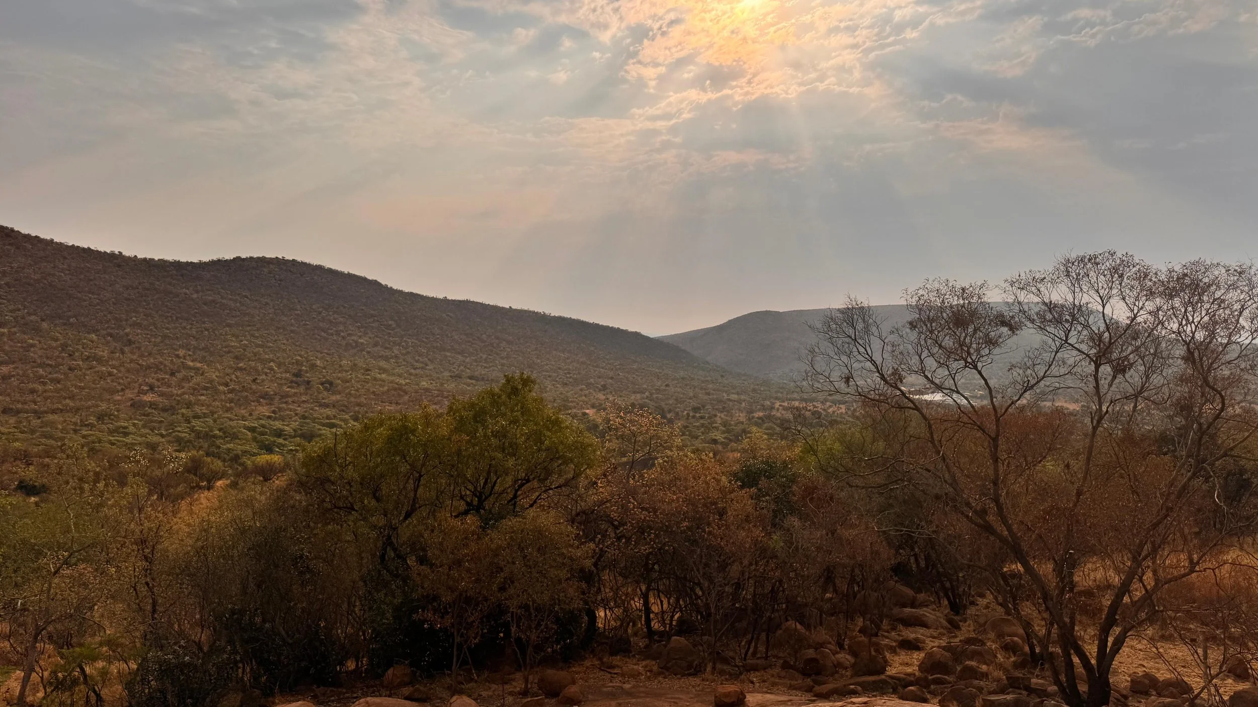 WhatsApp Image 2025-10-30 at 14.08.07 (1).jpeg