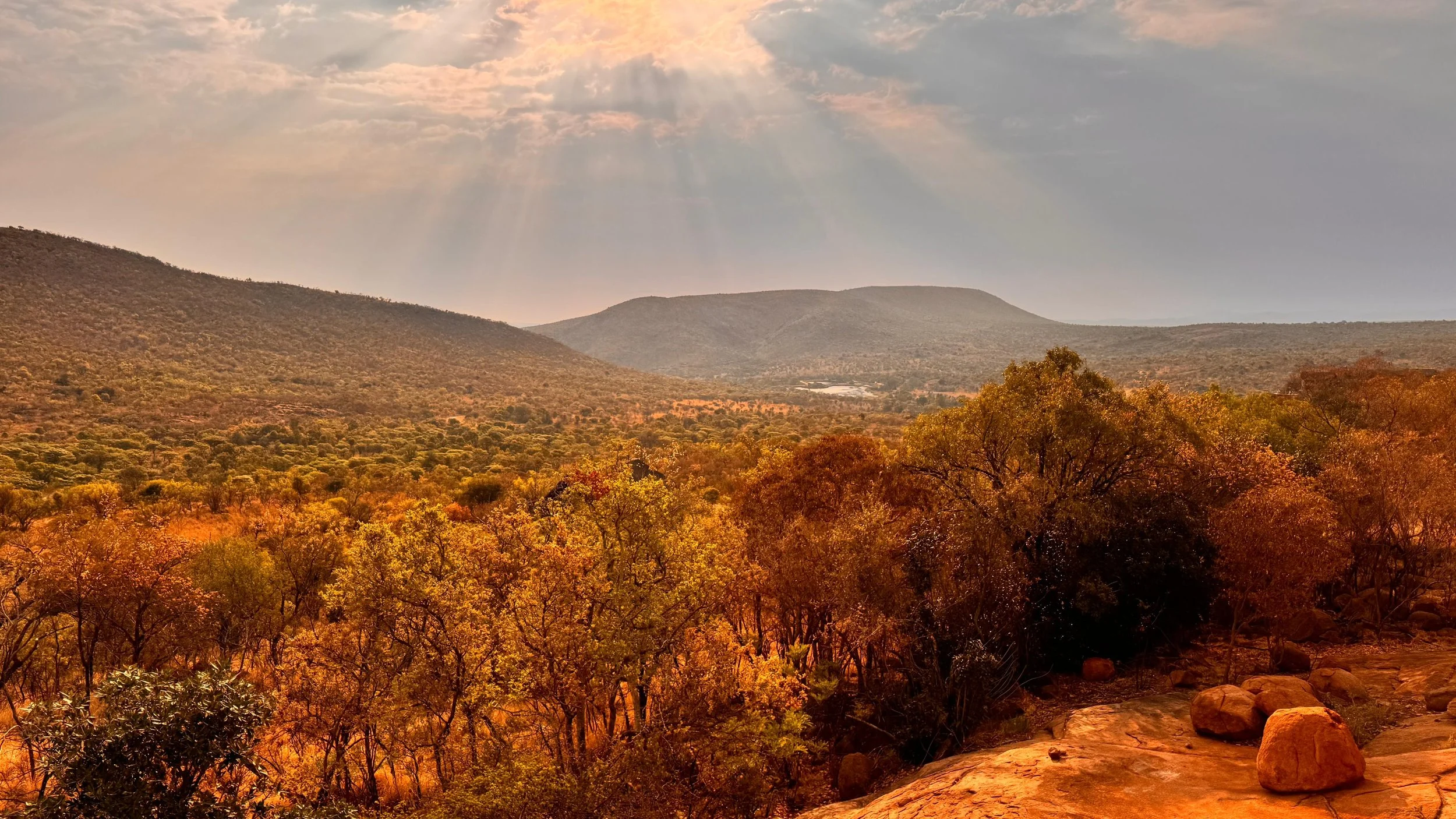 WhatsApp Image 2025-10-30 at 14.08.06 (2).jpeg