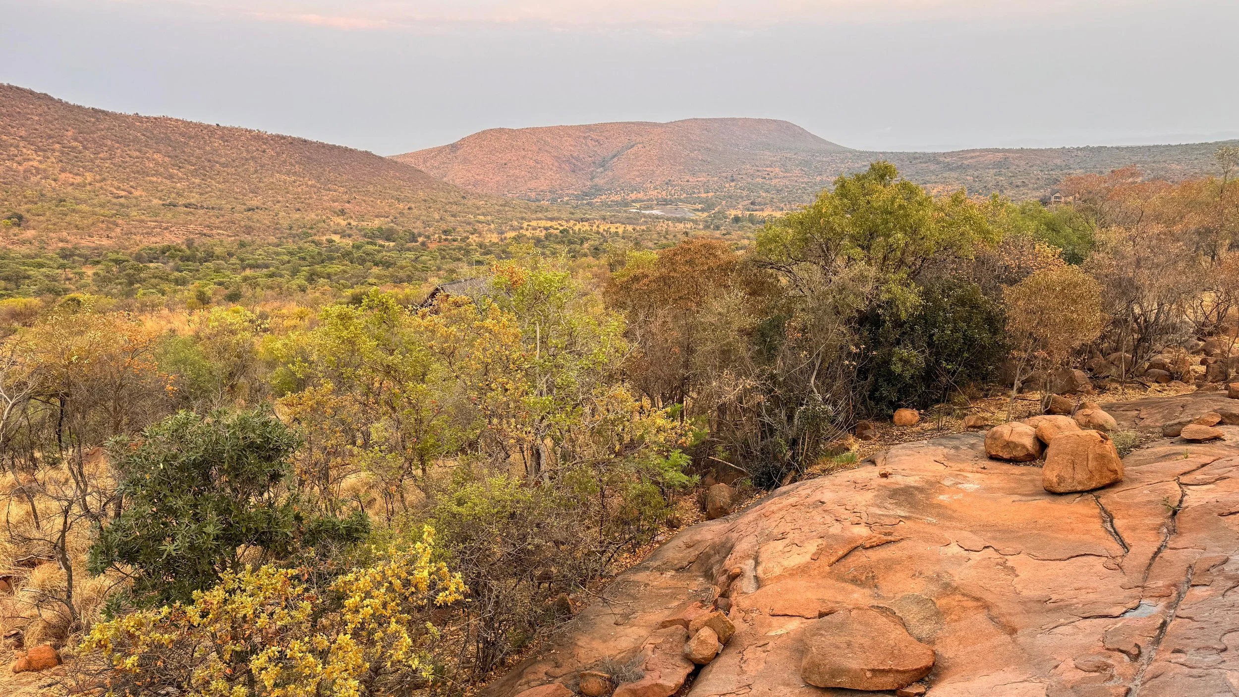 WhatsApp Image 2025-10-30 at 14.08.06 (1).jpeg