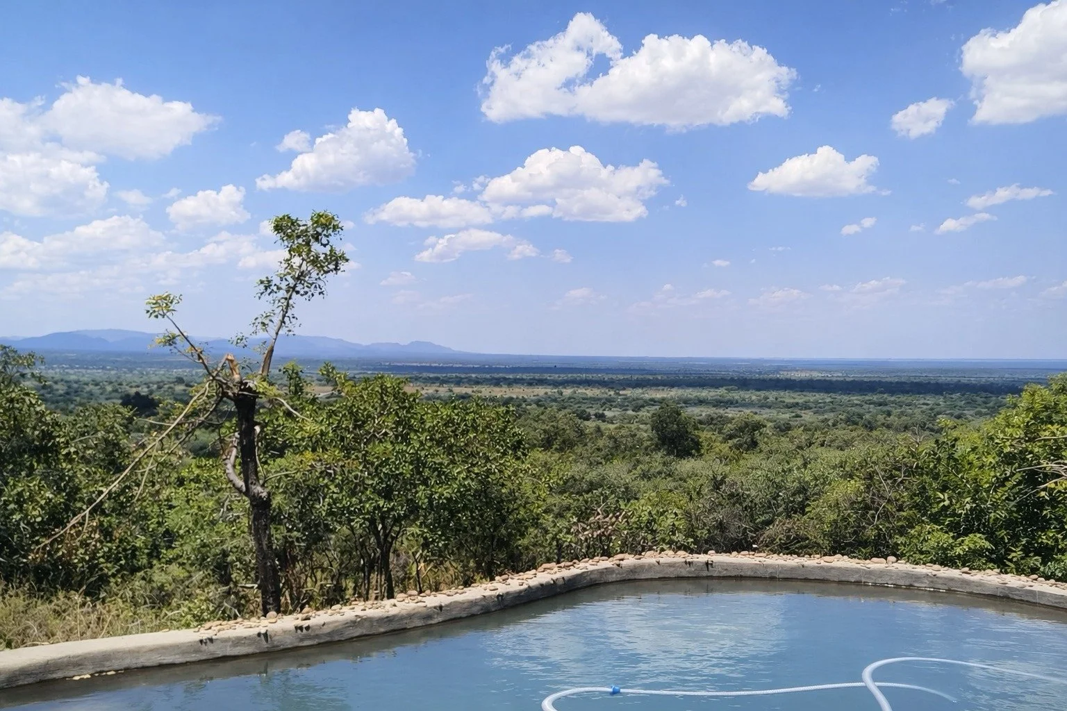 WhatsApp Image 2026-02-17 at 13.49.51 (19).jpeg