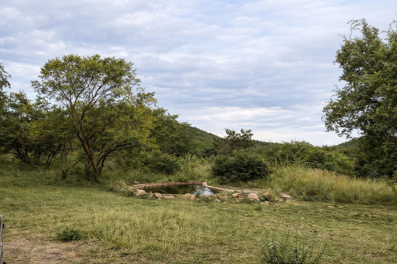 WhatsApp Image 2026-03-05 at 17.29.47.jpeg