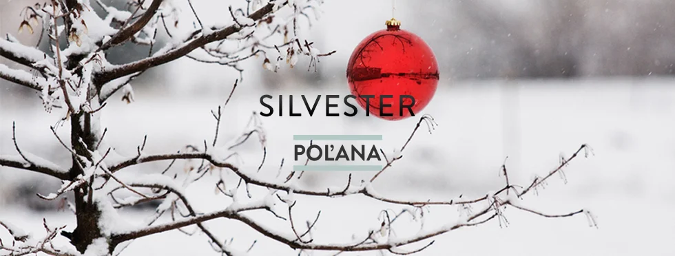 silvester.jpeg