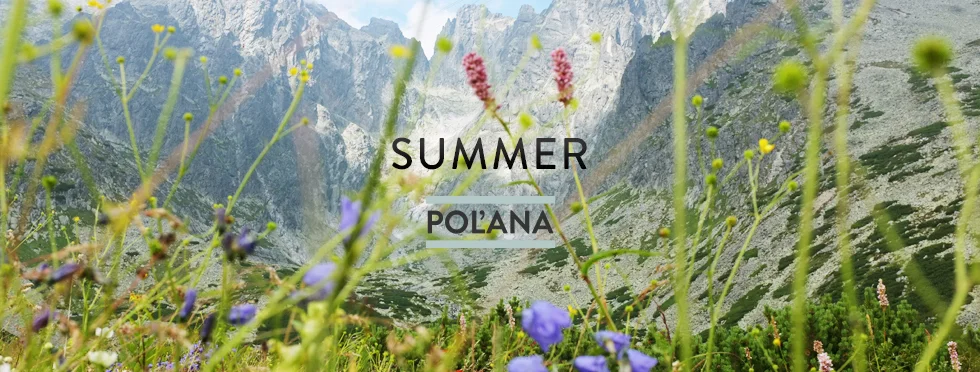 summer_polana.jpg