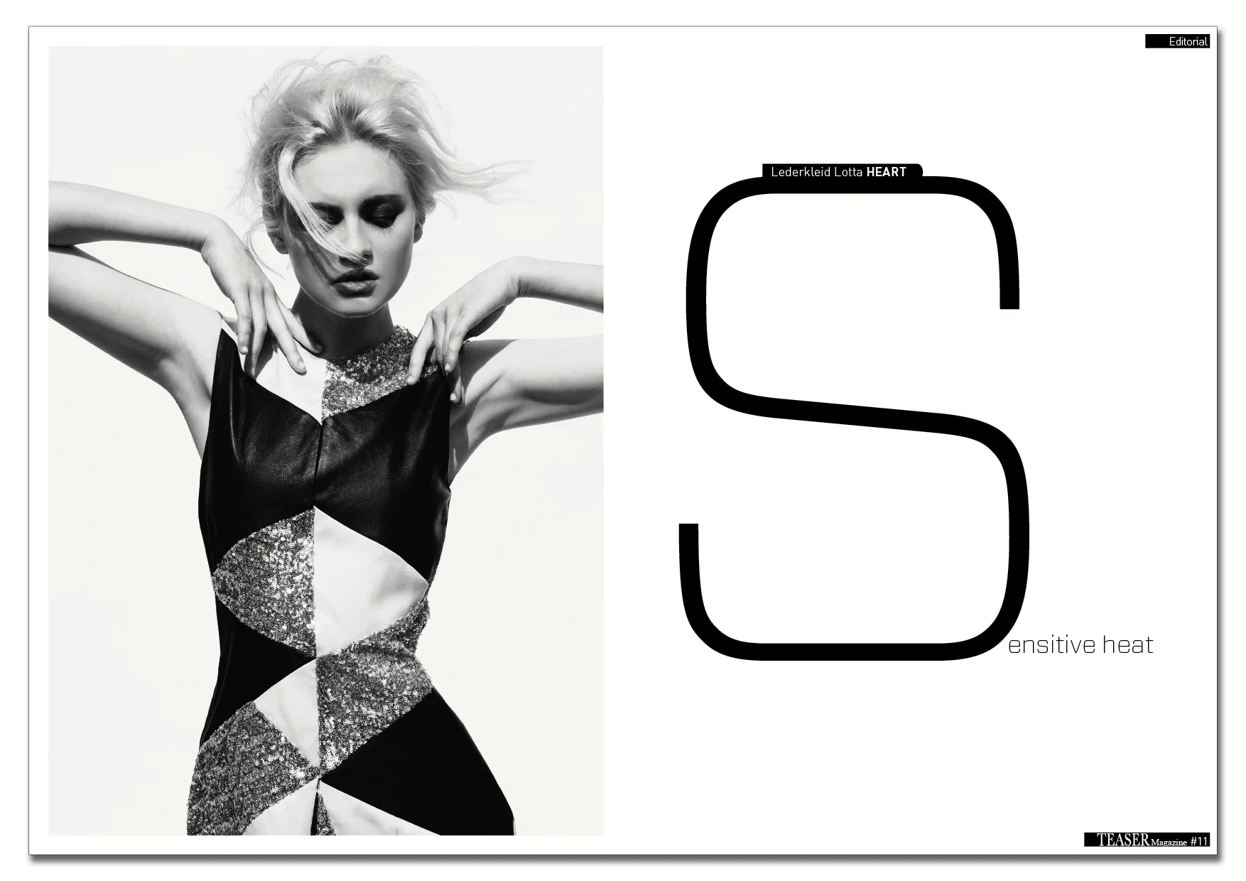 Teaser gesammelt 217.jpg