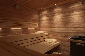 sauna.jpeg