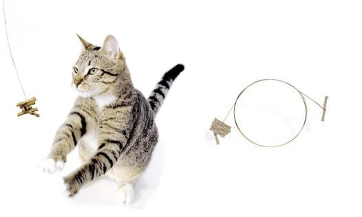 catdancer1.jpg