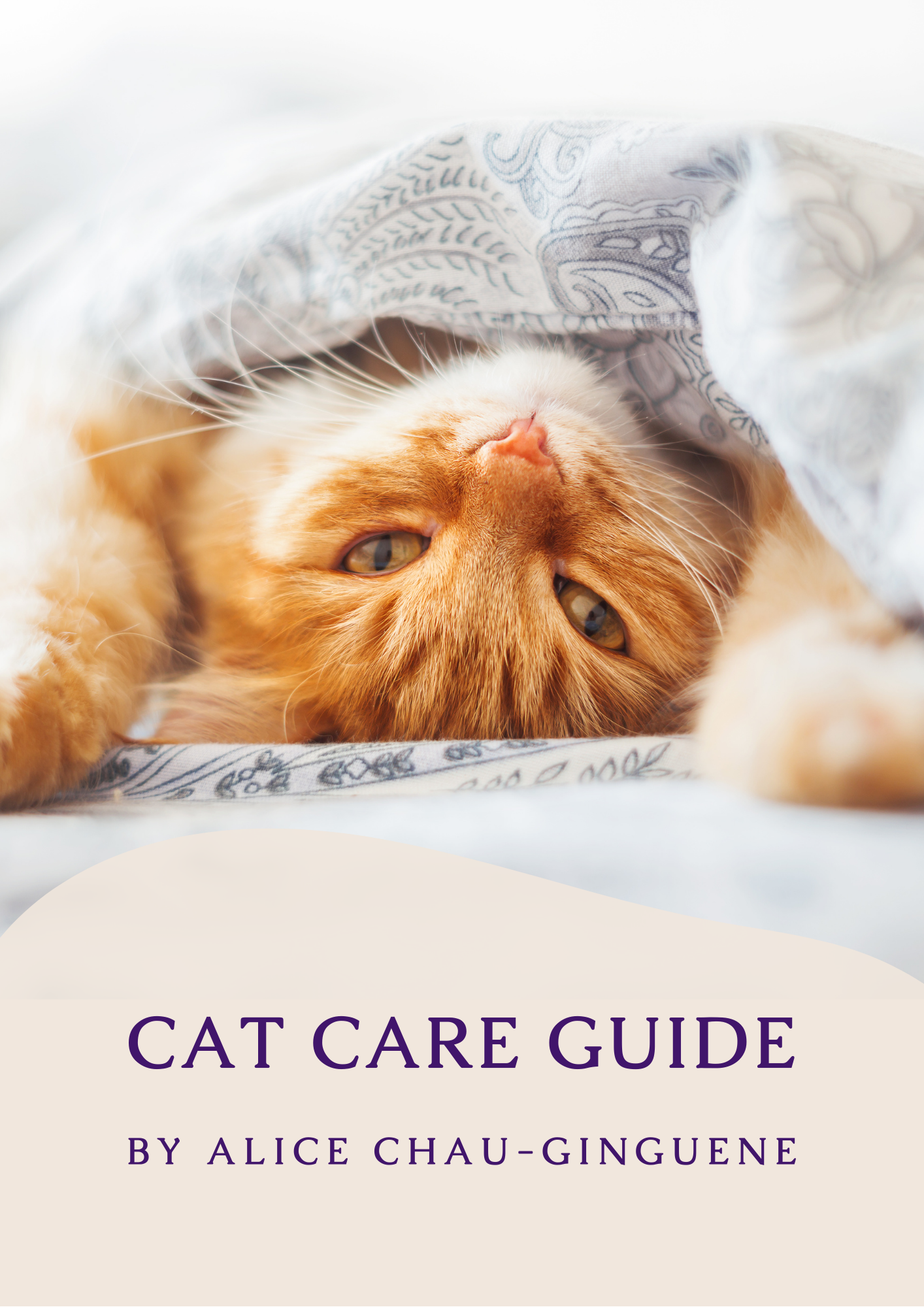 Copy of Cat Care Guidebook-2.png