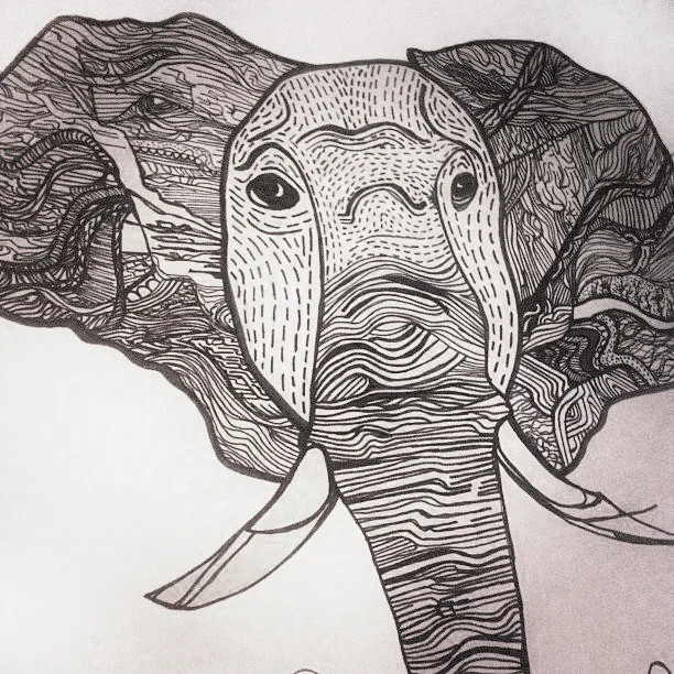 Editorial Illustration for African Landscapes Zine