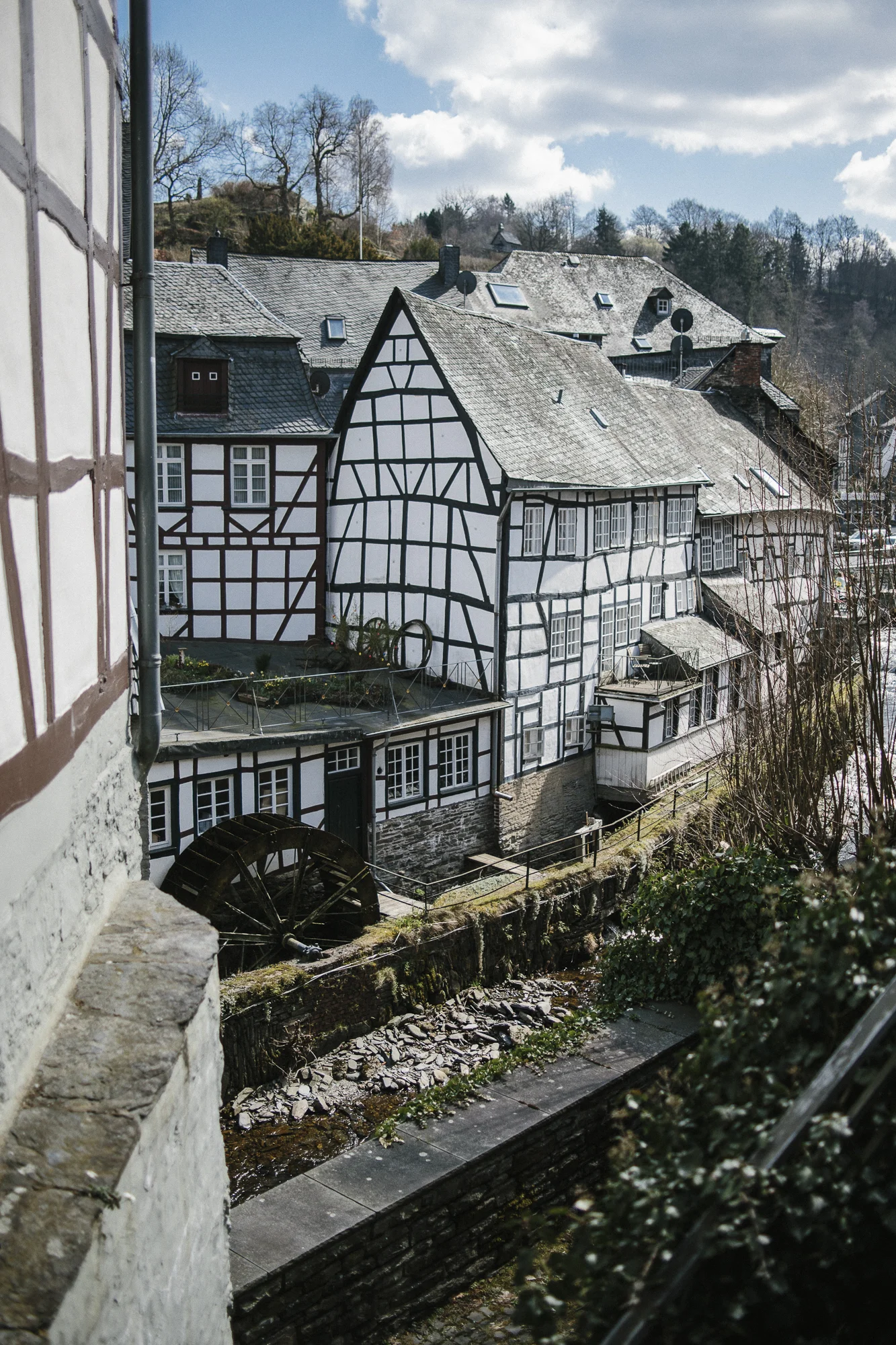 _MG_3868.jpg