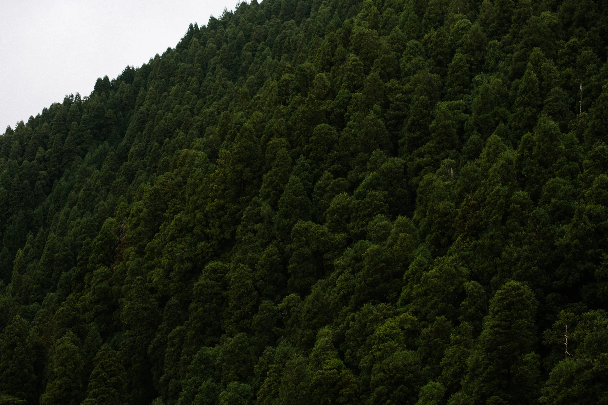 FY00157-081.jpg