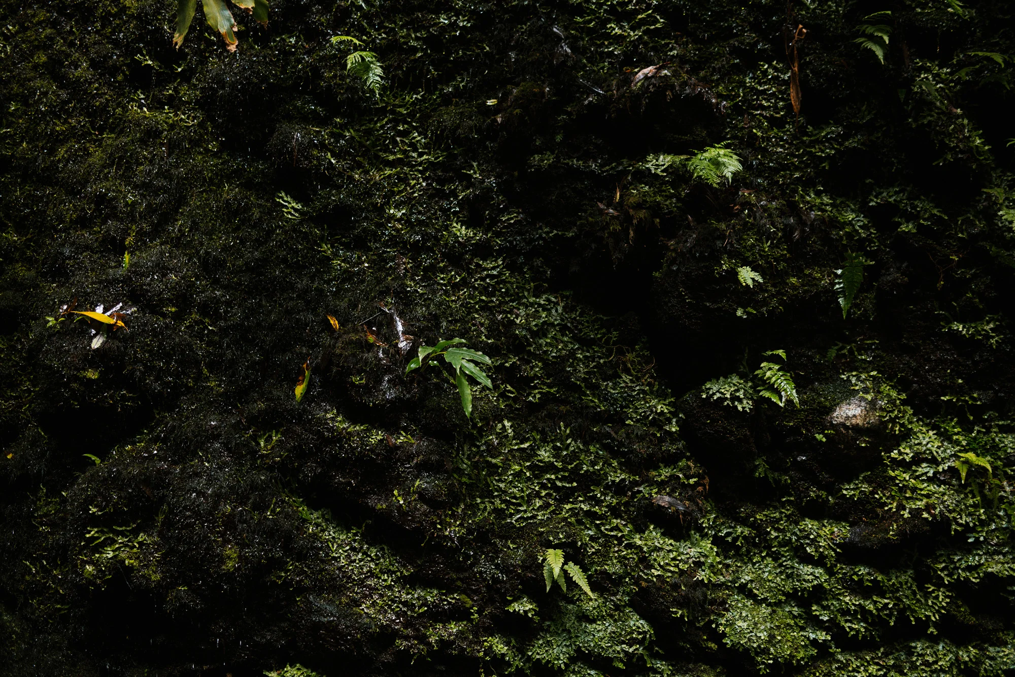 FY00157-132.jpg