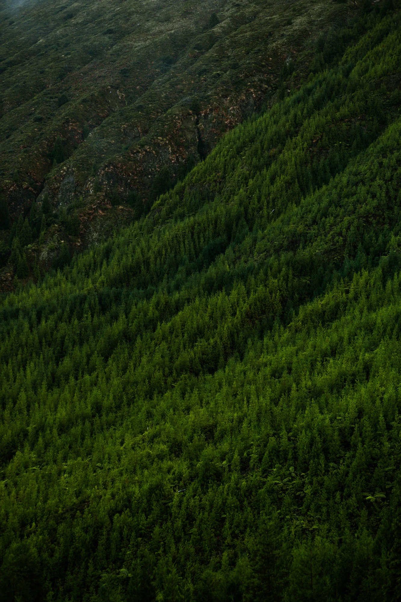 FY00157-234.jpg