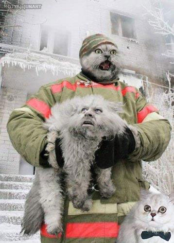 Face-swap-8.jpg