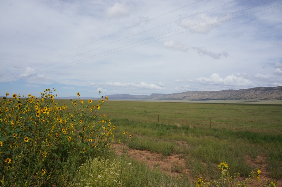 Route 66 views. Scenery hasn't changed much