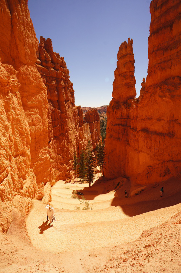 The switchbacks going down