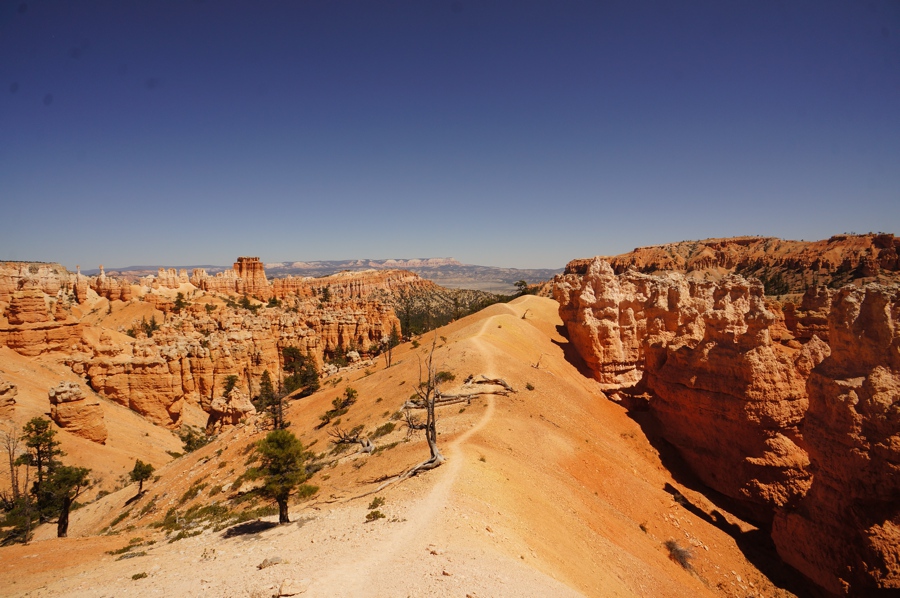 A walk along a ridge
