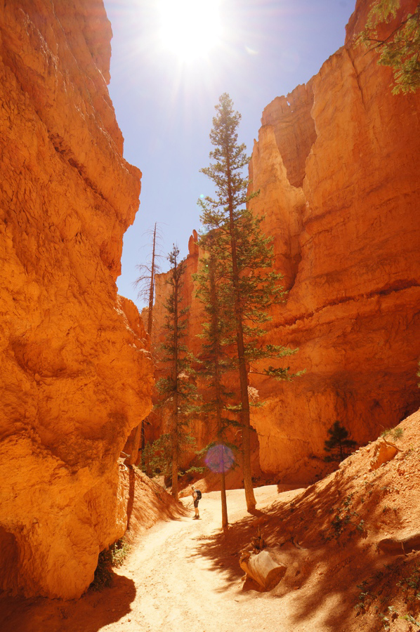 Twisty paths