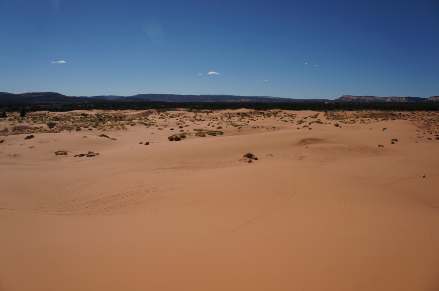 Sand-dunes-5.jpg